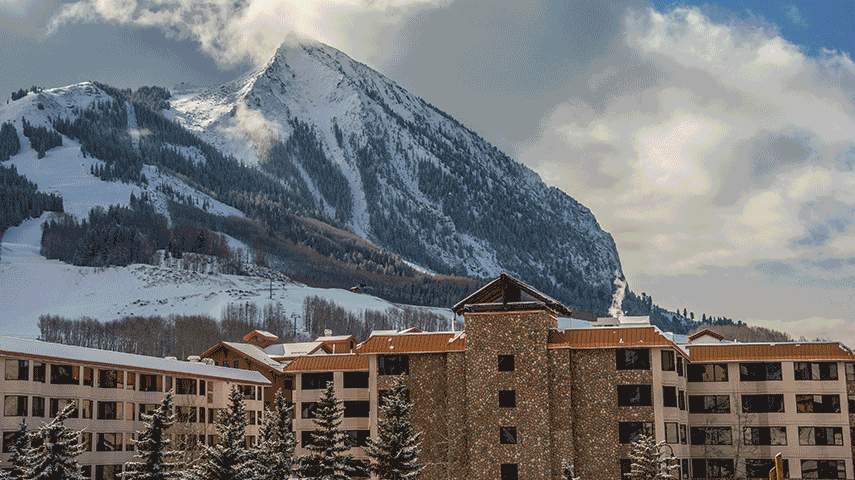 2024 Cyber Sale Digital Image